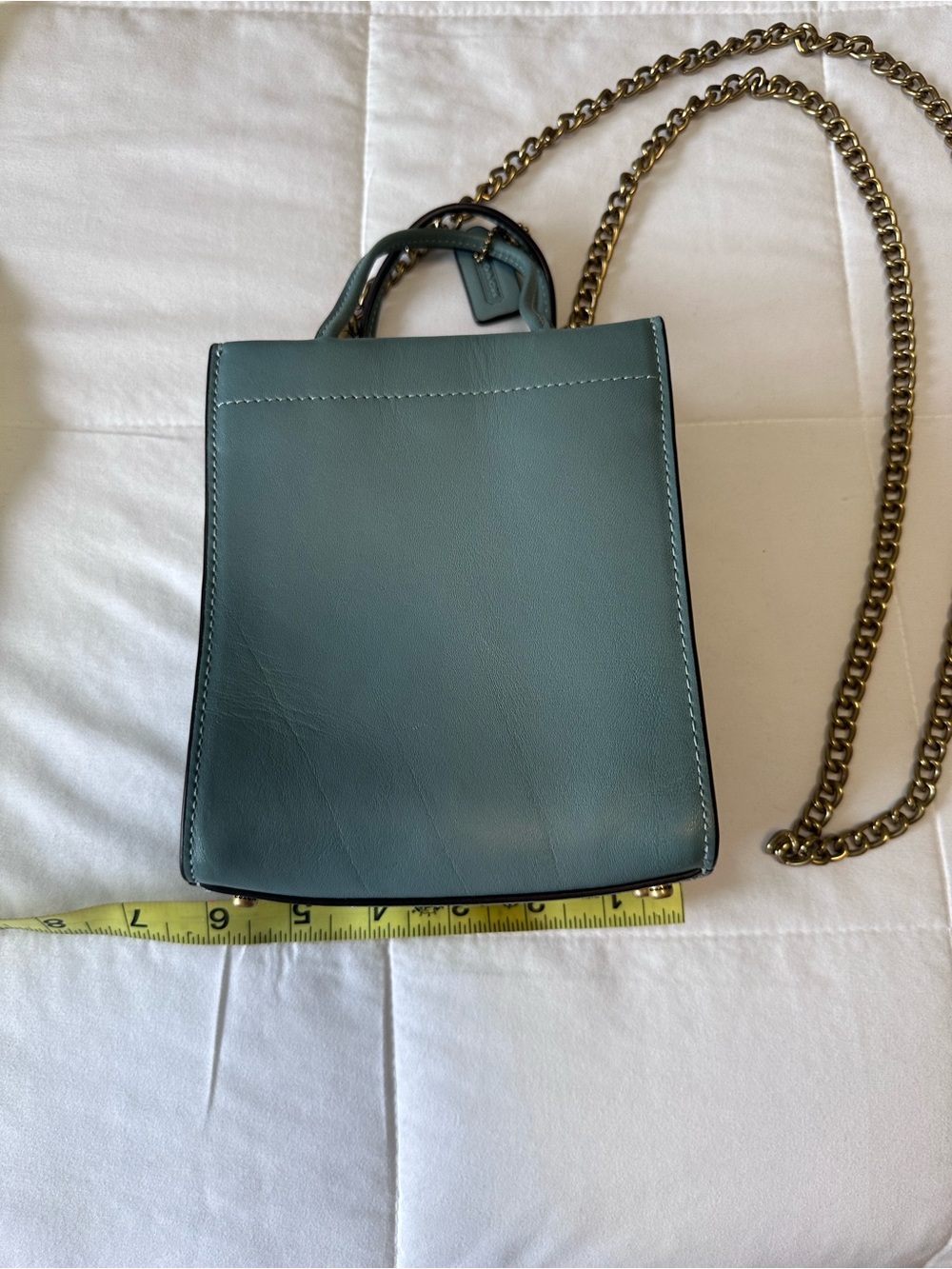 Coach Sage Green Glove-Tanned Leather Crossbody with Gold Chain